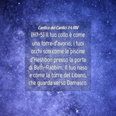 Picture 04 - Cantico dei Cantici 7:4 RIV - (H7-5) Il tuo collo è come una torre d’avorio; - Bible Verse Picture