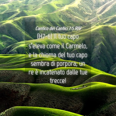 Picture 04 - Cantico dei Cantici 7:5 RIV - (H7-6) Il tuo capo s’eleva come il Carmelo, e - Bible Verse Picture