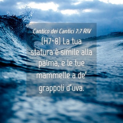 Picture 04 - Cantico dei Cantici 7:7 RIV - (H7-8) La tua statura è simile alla palma, e le - Bible Verse Picture