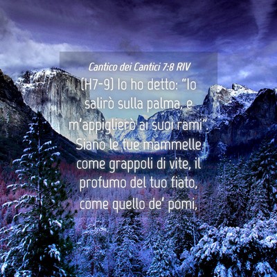 Picture 04 - Cantico dei Cantici 7:8 RIV - (H7-9) Io ho detto: “Io salirò sulla palma, e - Bible Verse Picture