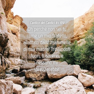 Picture 04 - Cantico dei Cantici 8:1 RIV - Oh perché non sei tu come un mio fratello, - Bible Verse Picture