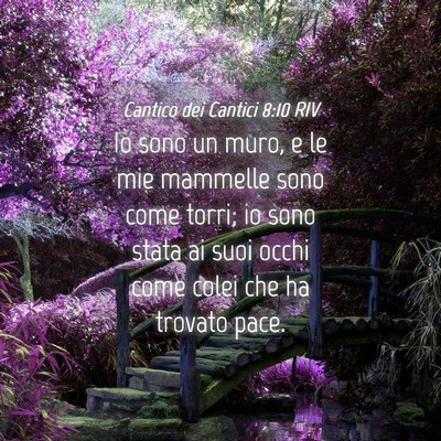 Picture 04 - Cantico dei Cantici 8:10 RIV - Io sono un muro, e le mie mammelle sono come - Bible Verse Picture