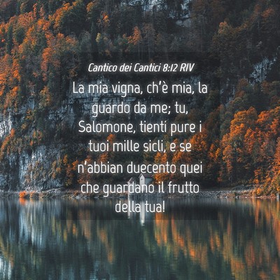 Picture 04 - Cantico dei Cantici 8:12 RIV - La mia vigna, ch’è mia, la guardo da me; tu, - Bible Verse Picture