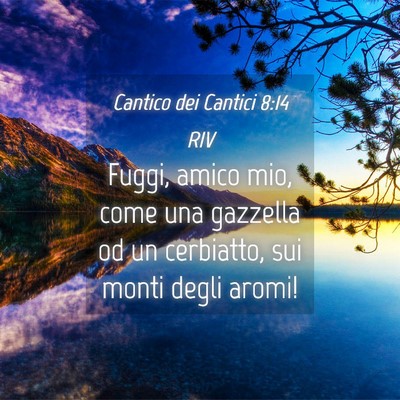 Picture 04 - Cantico dei Cantici 8:14 RIV - Fuggi, amico mio, come una gazzella od un - Bible Verse Picture