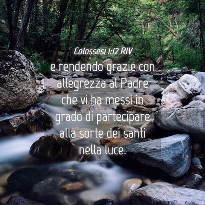 Picture 04 - Colossesi 1:12 RIV - e rendendo grazie con allegrezza al Padre che vi - Bible Verse Picture