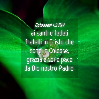 Picture 04 - Colossesi 1:2 RIV - ai santi e fedeli fratelli in Cristo che sono in - Bible Verse Picture