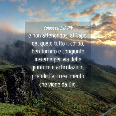 Picture 04 - Colossesi 2:19 RIV - e non attenendosi al Capo, dal quale tutto il - Bible Verse Picture