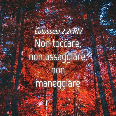 Picture 04 - Colossesi 2:21 RIV - Non toccare, non assaggiare, non - Bible Verse Picture