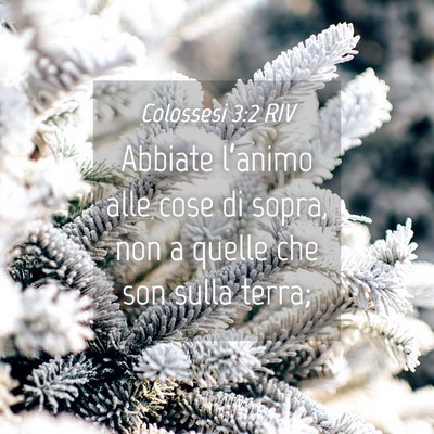 Picture 04 - Colossesi 3:2 RIV - Abbiate l’animo alle cose di sopra, non a - Bible Verse Picture