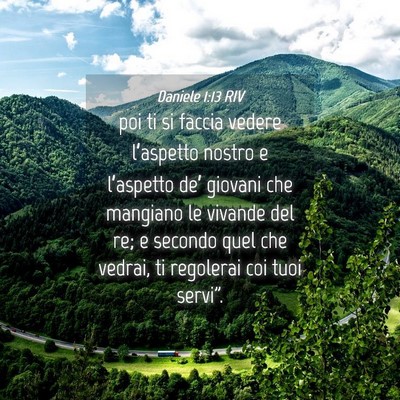 Picture 04 - Daniele 1:13 RIV - poi ti si faccia vedere l’aspetto nostro e - Bible Verse Picture
