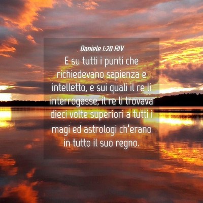 Picture 04 - Daniele 1:20 RIV - E su tutti i punti che richiedevano sapienza e - Bible Verse Picture