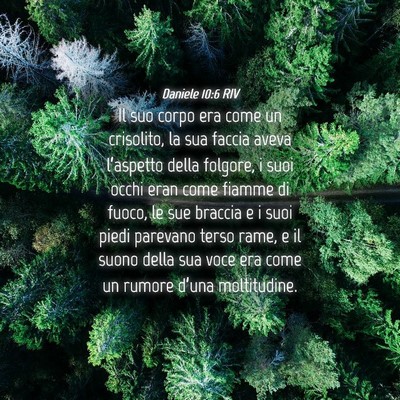 Picture 04 - Daniele 10:6 RIV - Il suo corpo era come un crisolito, la sua faccia - Bible Verse Picture