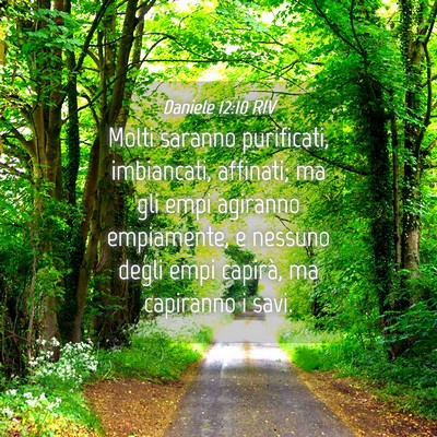 Picture 04 - Daniele 12:10 RIV - Molti saranno purificati, imbiancati, affinati; - Bible Verse Picture