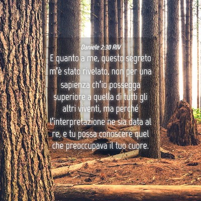 Picture 04 - Daniele 2:30 RIV - E quanto a me, questo segreto m’è stato - Bible Verse Picture