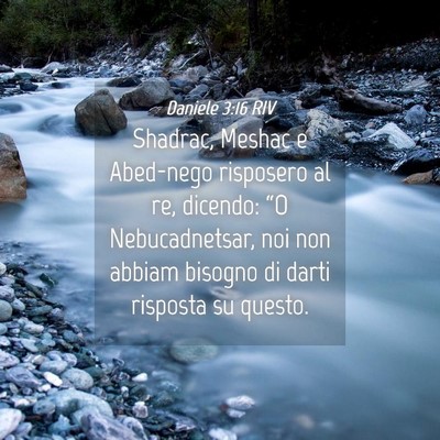 Picture 04 - Daniele 3:16 RIV - Shadrac, Meshac e Abed-nego risposero al re, - Bible Verse Picture