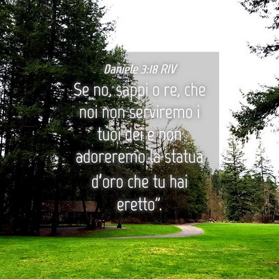 Picture 04 - Daniele 3:18 RIV - Se no, sappi o re, che noi non serviremo i tuoi - Bible Verse Picture