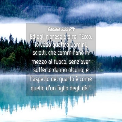 Picture 04 - Daniele 3:25 RIV - Ed egli riprese a dire: “Ecco, io vedo quattro - Bible Verse Picture