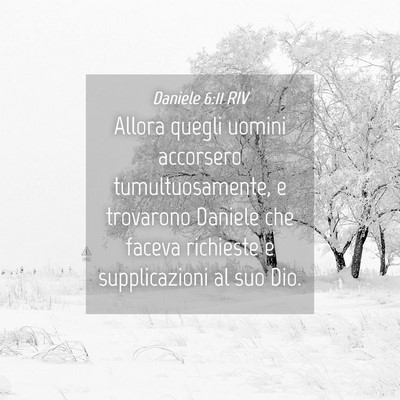 Picture 04 - Daniele 6:11 RIV - Allora quegli uomini accorsero tumultuosamente, e - Bible Verse Picture