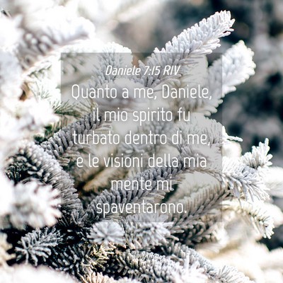 Picture 04 - Daniele 7:15 RIV - Quanto a me, Daniele, il mio spirito fu turbato - Bible Verse Picture