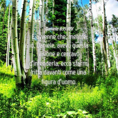 Picture 04 - Daniele 8:15 RIV - E avvenne che, mentre io, Daniele, avevo questa - Bible Verse Picture