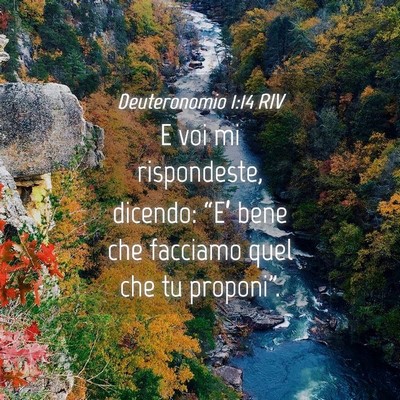 Picture 04 - Deuteronomio 1:14 RIV - E voi mi rispondeste, dicendo: “E’ bene che - Bible Verse Picture