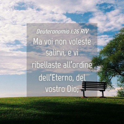 Picture 04 - Deuteronomio 1:26 RIV - Ma voi non voleste salirvi, e vi ribellaste - Bible Verse Picture