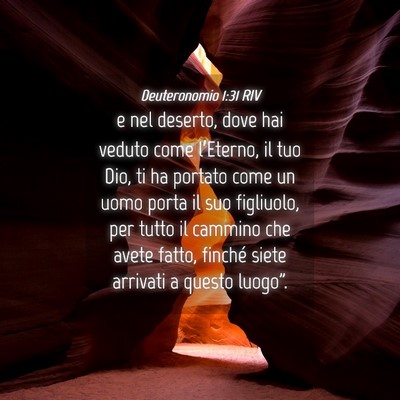 Picture 04 - Deuteronomio 1:31 RIV - e nel deserto, dove hai veduto come l’Eterno, - Bible Verse Picture