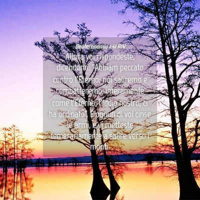 Picture 04 - Deuteronomio 1:41 RIV - Allora voi rispondeste, dicendomi: “Abbiam - Bible Verse Picture