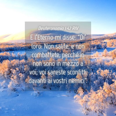 Picture 04 - Deuteronomio 1:42 RIV - E l’Eterno mi disse: “Di’ loro: Non salite, - Bible Verse Picture