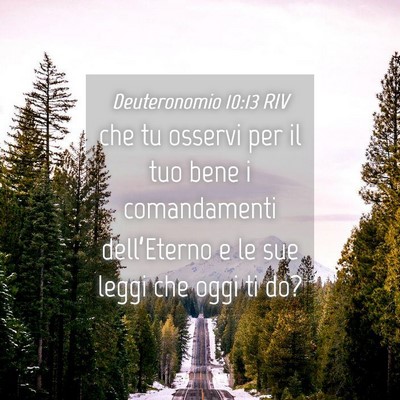 Picture 04 - Deuteronomio 10:13 RIV - che tu osservi per il tuo bene i comandamenti - Bible Verse Picture