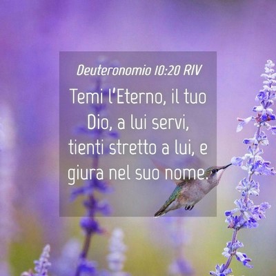 Picture 04 - Deuteronomio 10:20 RIV - Temi l’Eterno, il tuo Dio, a lui servi, tienti - Bible Verse Picture