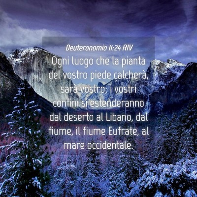 Picture 04 - Deuteronomio 11:24 RIV - Ogni luogo che la pianta del vostro piede - Bible Verse Picture