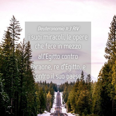 Picture 04 - Deuteronomio 11:3 RIV - i suoi miracoli, le opere che fece in mezzo - Bible Verse Picture