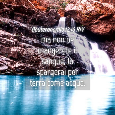 Picture 04 - Deuteronomio 12:16 RIV - ma non ne mangerete il sangue; lo spargerai per - Bible Verse Picture