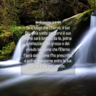 Picture 04 - Deuteronomio 12:21 RIV - Se il luogo che l’Eterno, il tuo Dio, avrà - Bible Verse Picture