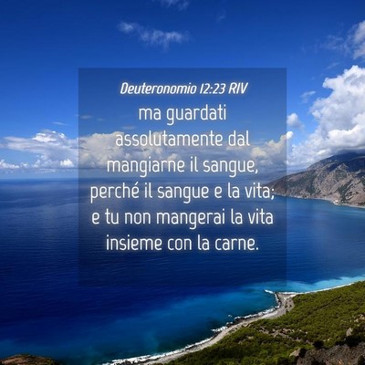 Picture 04 - Deuteronomio 12:23 RIV - ma guardati assolutamente dal mangiarne il - Bible Verse Picture