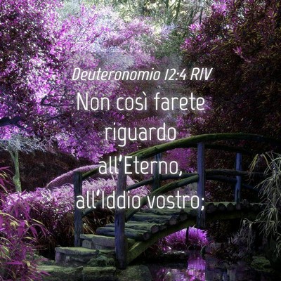 Picture 04 - Deuteronomio 12:4 RIV - Non così farete riguardo all’Eterno, - Bible Verse Picture