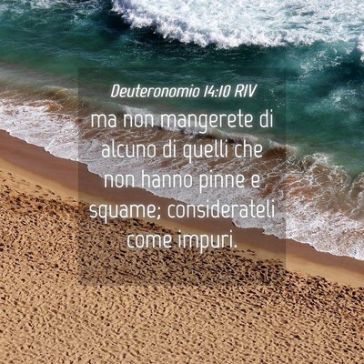 Picture 04 - Deuteronomio 14:10 RIV - ma non mangerete di alcuno di quelli che non - Bible Verse Picture