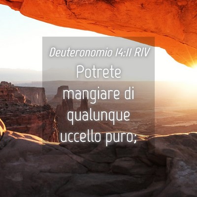 Picture 04 - Deuteronomio 14:11 RIV - Potrete mangiare di qualunque uccello - Bible Verse Picture