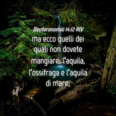 Picture 04 - Deuteronomio 14:12 RIV - ma ecco quelli dei quali non dovete mangiare: - Bible Verse Picture