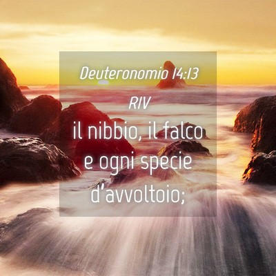 Picture 04 - Deuteronomio 14:13 RIV - il nibbio, il falco e ogni specie - Bible Verse Picture
