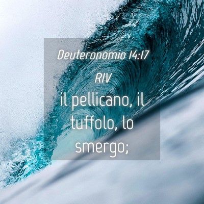 Picture 04 - Deuteronomio 14:17 RIV - il pellicano, il tuffolo, lo - Bible Verse Picture