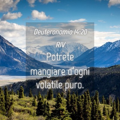 Picture 04 - Deuteronomio 14:20 RIV - Potrete mangiare d’ogni volatile - Bible Verse Picture