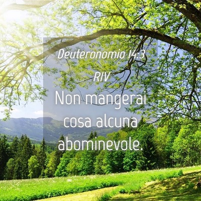 Picture 04 - Deuteronomio 14:3 RIV - Non mangerai cosa alcuna - Bible Verse Picture