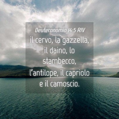 Picture 04 - Deuteronomio 14:5 RIV - il cervo, la gazzella, il daino, lo stambecco, - Bible Verse Picture