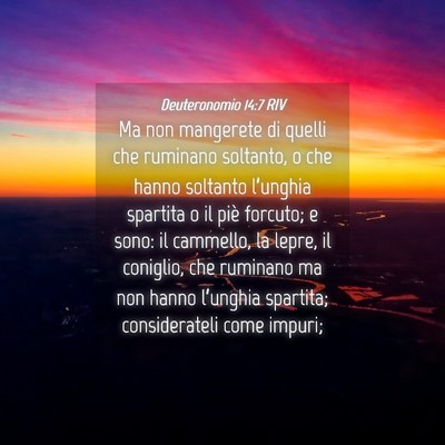 Picture 04 - Deuteronomio 14:7 RIV - Ma non mangerete di quelli che ruminano soltanto, - Bible Verse Picture