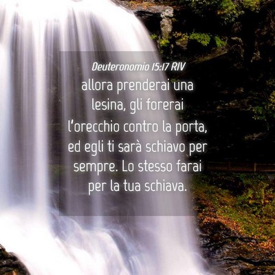 Picture 04 - Deuteronomio 15:17 RIV - allora prenderai una lesina, gli forerai - Bible Verse Picture