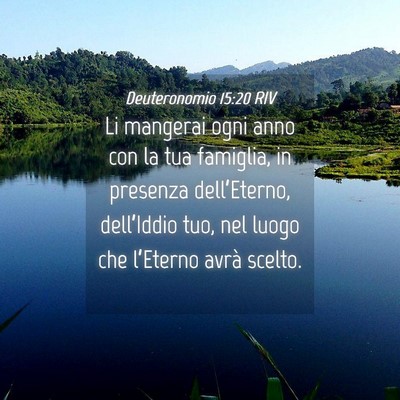 Picture 04 - Deuteronomio 15:20 RIV - Li mangerai ogni anno con la tua famiglia, in - Bible Verse Picture