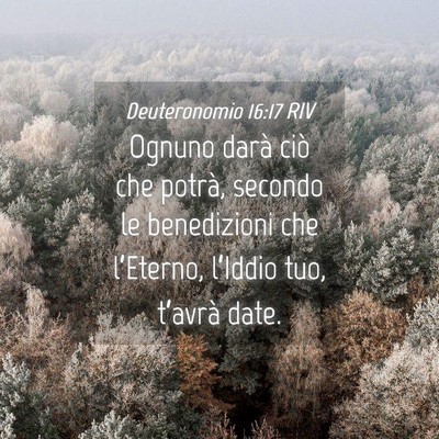 Picture 04 - Deuteronomio 16:17 RIV - Ognuno darà ciò che potrà, secondo le - Bible Verse Picture