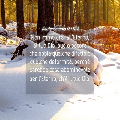 Picture 04 - Deuteronomio 17:1 RIV - Non immolerai all’Eterno, al tuo Dio, bue o - Bible Verse Picture